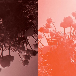 Ühe Südame Ülistuslaul - Single