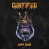 Rapp Guru - Back then