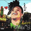 Plugg N Z - Single