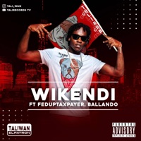 Wikendi (feat. Fed Up Taxpayer) - Single - Taliwan