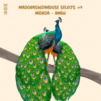 Amen (feat. Lyrik Shoxen) - Single - Morda & Thakzin