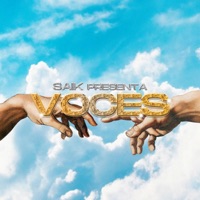VOCES - EP - SAIK