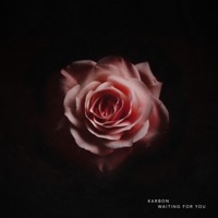 Waiting For You - Single - KARBON