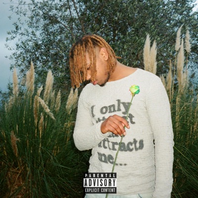 DMs - Single