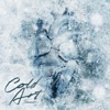 Cold Art - Single