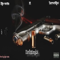 intsimbi (feat. TerrorMoc) - Single - Ma-verse