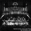 30 Years Live (Live) - New Cool Collective