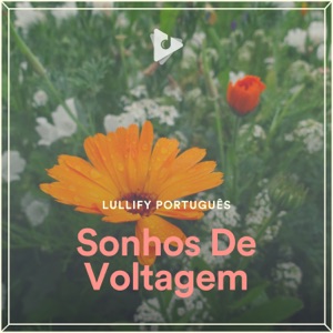 Sonhos De Voltagem