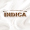 Icon Indica - Single