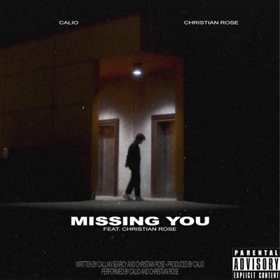 Missing You (feat. Christian Rose) - Single