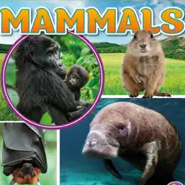 Mammals: My First Animal Kingdom Encyclopedias (Unabridged)