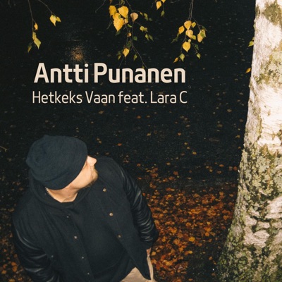 Hetkeks Vaan (feat. Lara C) - Single