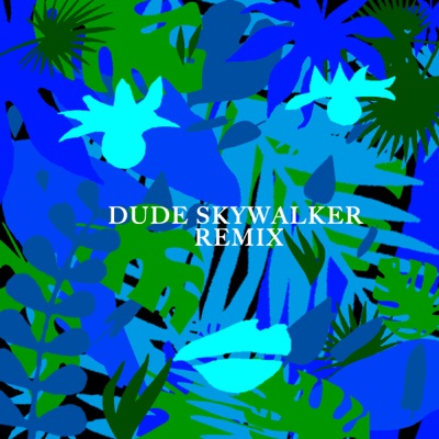Junga (Dude Skywalker Remix) - Single