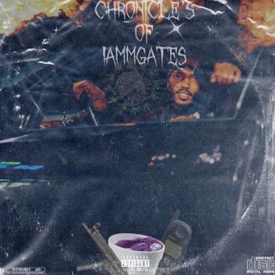 Chronicle's of IAMMGATES - EP