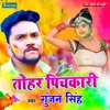 Tohar Pichkari - Single