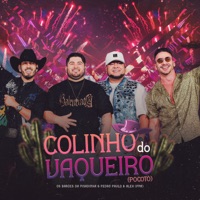 Colinho do Vaqueiro (Pocotó) [Ao Vivo] - Single - Os Barões da Pisadinha & Pedro Paulo & Alex