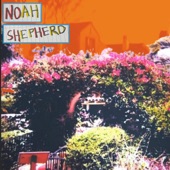 Noah Shepherd - Gridlock