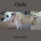 Clyde - Lucas Segarra lyrics
