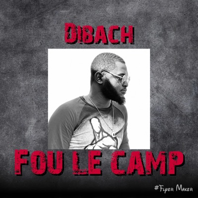 Fou le camp - Single