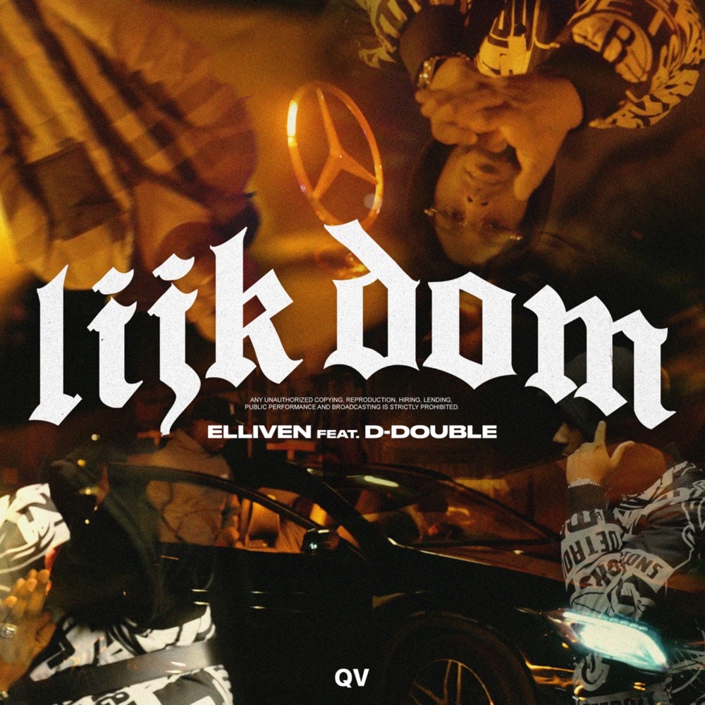 Lijk Dom (feat. D-Double)