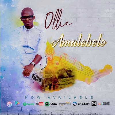 Amalobolo - Single