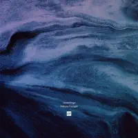 Vela Dust — Upwellings