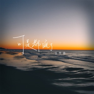 可是都晚了 - Single