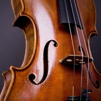 Slow Speed (feat. its_vinyl) - Single - YolkMVP