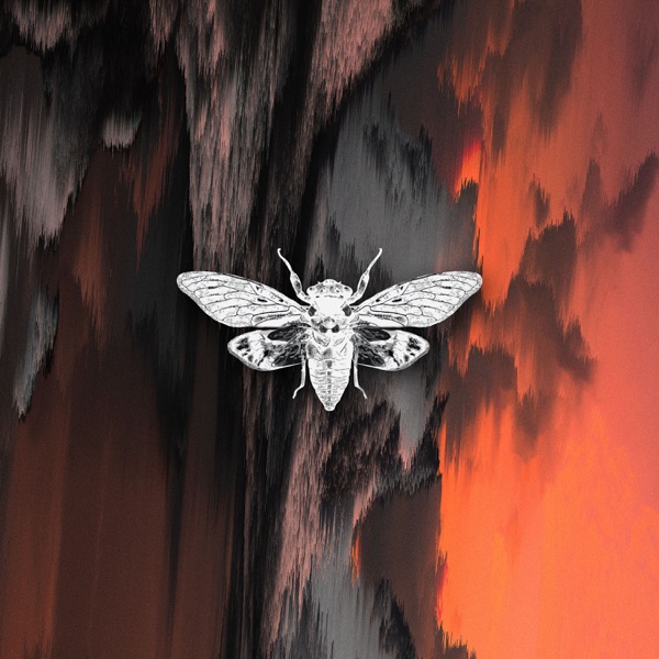 Prayers - Single