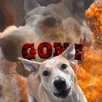 Aggressive Motivation - Single - LDog