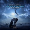 The Air To Breathe (Young Hu Remix) - Single