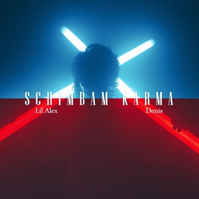 Schimbam Karma (feat. denis) - Single