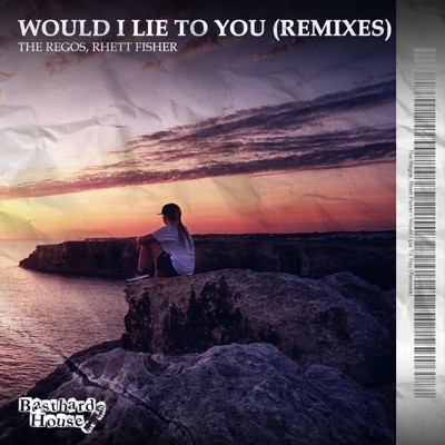 Would I Lie to You (Remixes) - Single