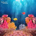 Underwater