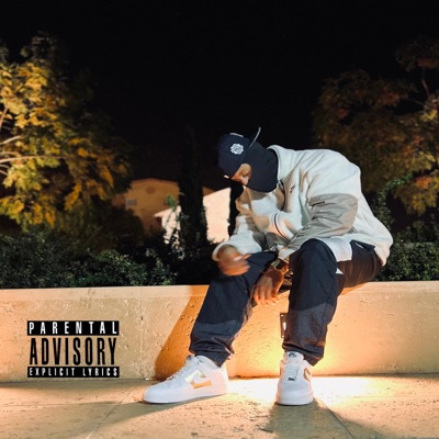 daños y perjuicios - Single