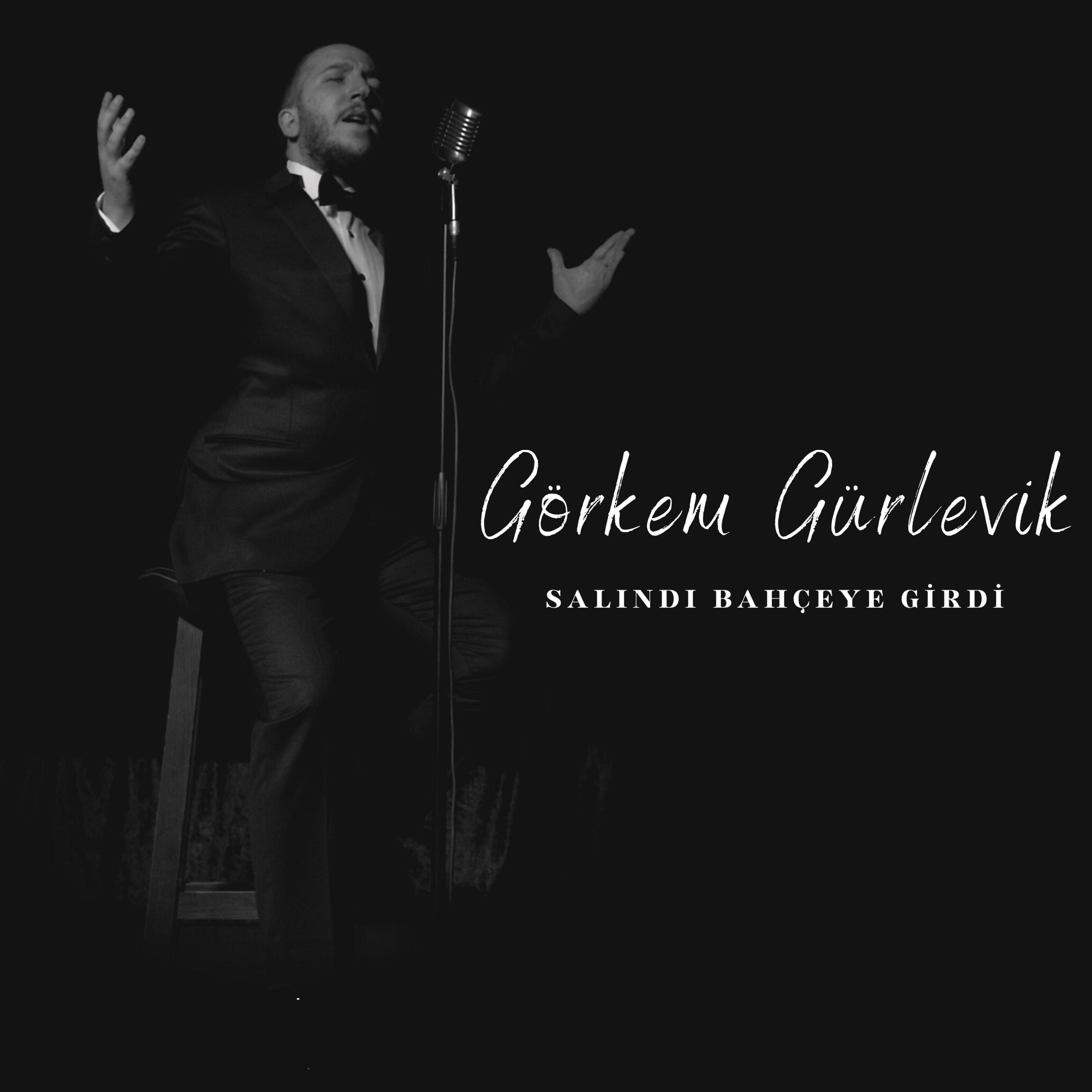 Salındı Bahçeye Girdi - Single