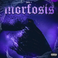 Morfosis - Apolo X