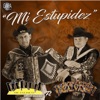Mi Estupidez