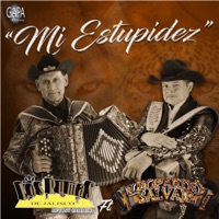 Mi Estupidez
