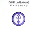 White Bird