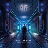 Into the Night (feat. Britt Lari) - Single - SKUM