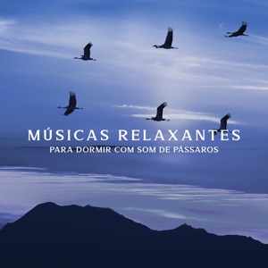 Músicas Relaxantes para Dormir Com Som de Pássaros