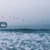 Shimmering - Single - Birds Of The West, Monomo & Golden Ticket Tapes