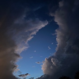 Black and Blue Tok 1804