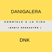 Sonríele a la Vida (Remix) - DANI GALERA & Dnk