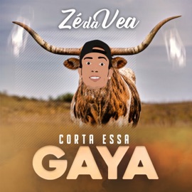 Corta Essa Gaya Zé da Vea