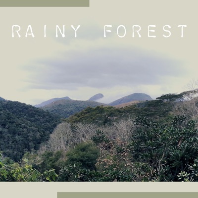 Rainy Forest - Single