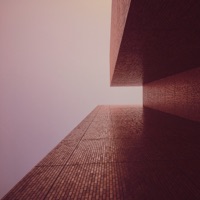 Reflect - Single - Moss, Freedo Mosho & Partenaire