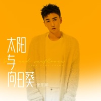 太阳与向日葵 - Single - Zhang Yang Yang