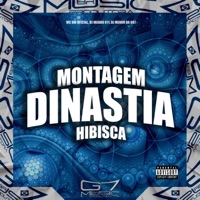 Montagem Dinastia Hibisca - Single - Mc bm oficial, dj magro 011 & DJ MENOR DA 007